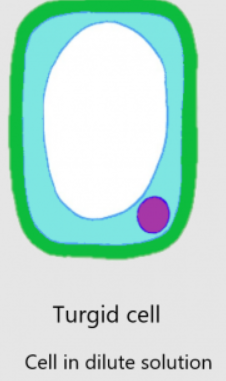 added card
